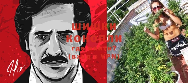 винт Няндома