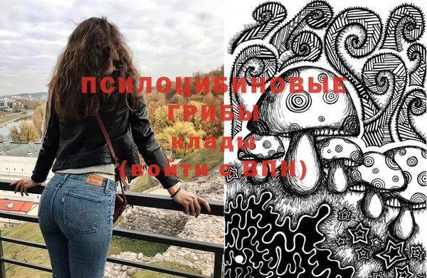 винт Няндома